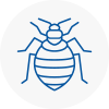 Bed Bug Extermination In Skelmanthorpe