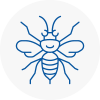 Skelmanthorpe Hornet Nest Removals
