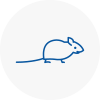 Mice Exterminators In Skelmanthorpe