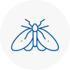 Moth Control Specialists In Skelmanthorpe