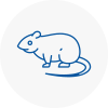 Rat Control Skelmanthorpe