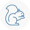 Skelmanthorpe Rodent Removals