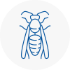 Skelmanthorpe Wasp Nest Removal